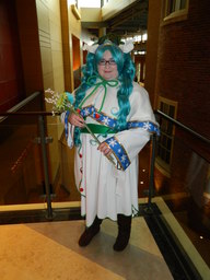 Zenkaikon 2015 Eric